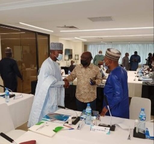 Legislative Institute Seeks Collective Efforts to Strengthen Democracy