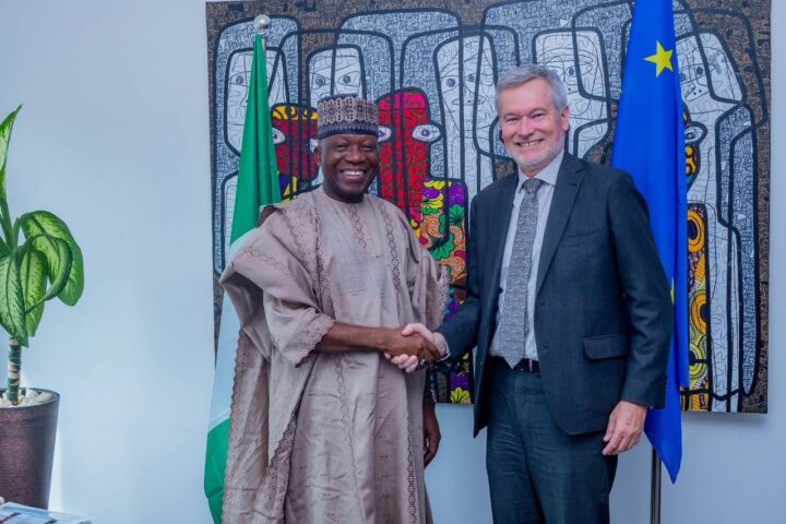 EU Ambassador, NILDS DG Discuss Prospects For Stronger Ties